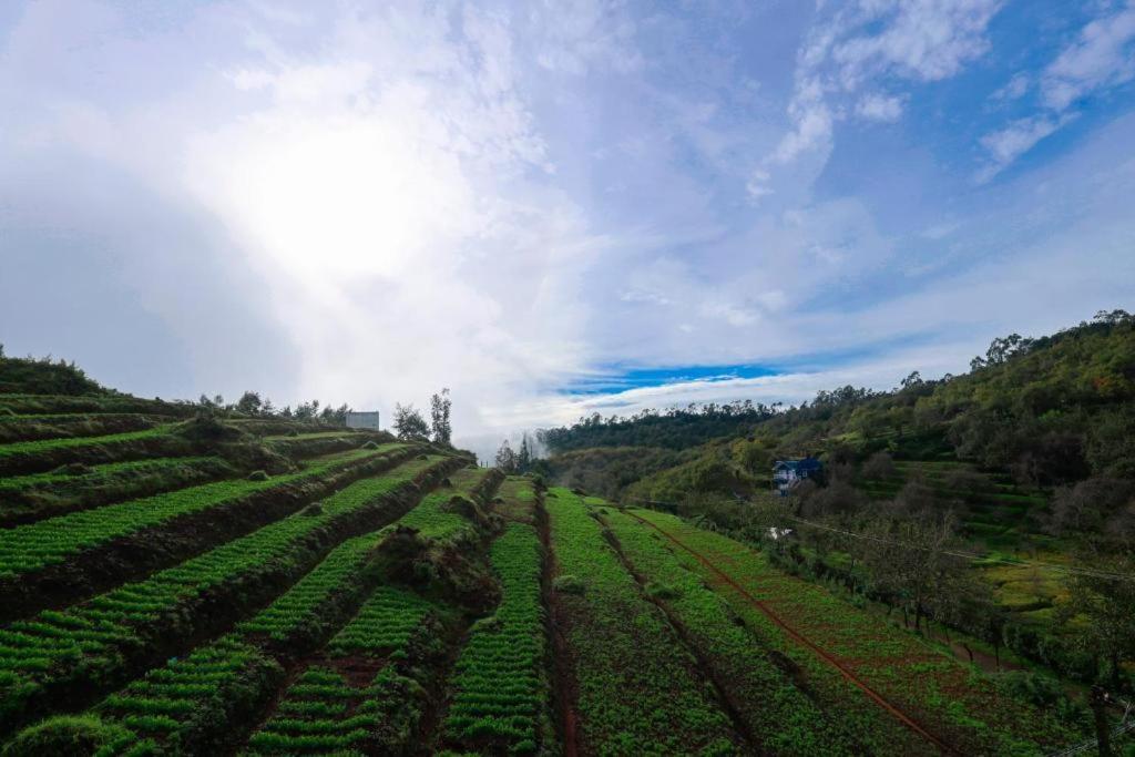 Starlight Hotels Kodai Kodaikanal Exteriér fotografie